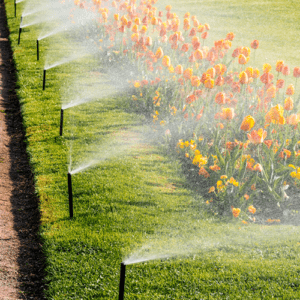 Countryside Landscaping Service Irrigation