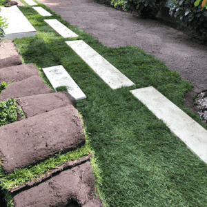 Countryside Landscaping Service Sod